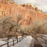 Capital Reef National Park - Utah 